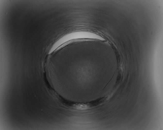 X0000087530512200705251702