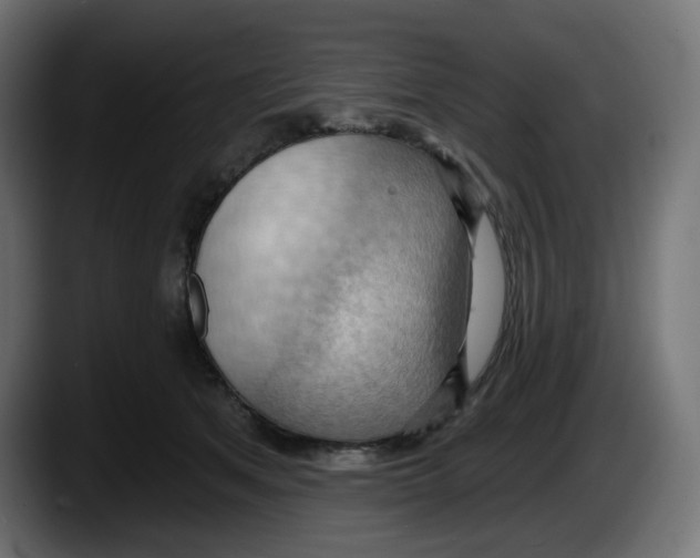 X0000087530513200705251702