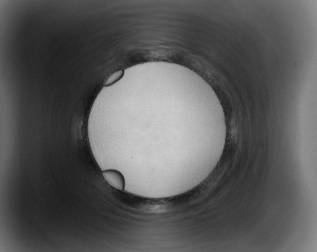 X0000087530514200705251702