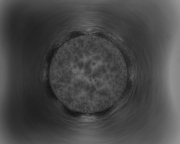 X0000087530515200705251702