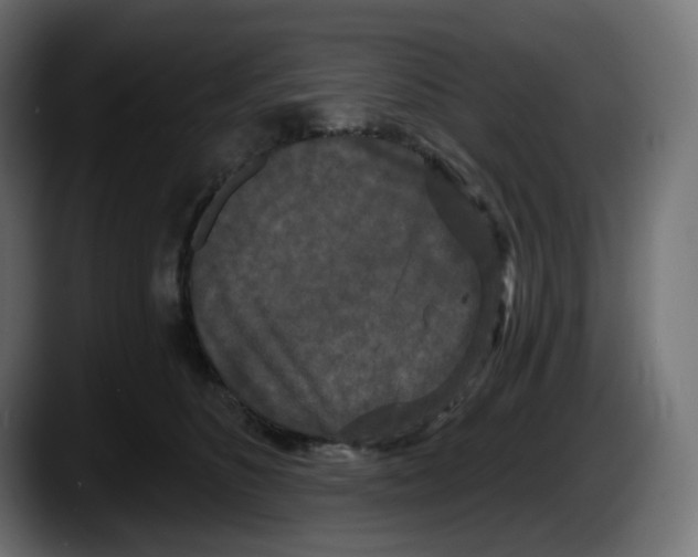 X0000087530516200705251702
