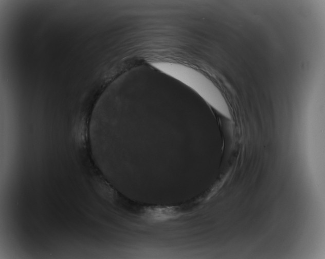 X0000087530517200705251702