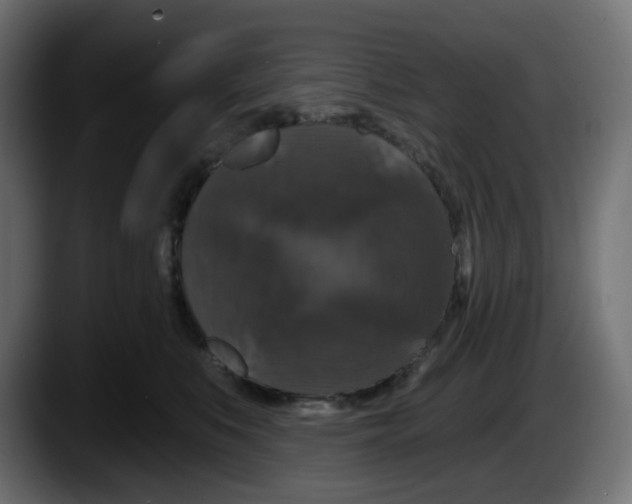 X0000087530519200705251702