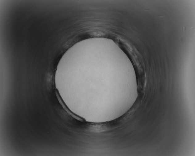 X0000087530521200705251702