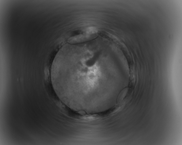 X0000087530523200705251702