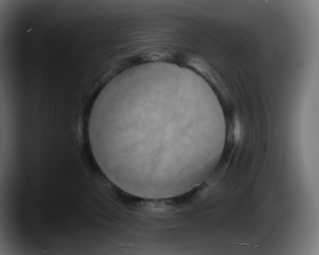 X0000087530524200705251702