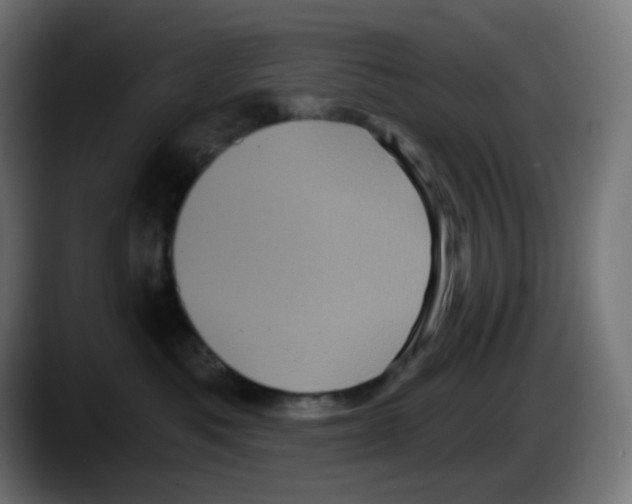 X0000087530525200705251702