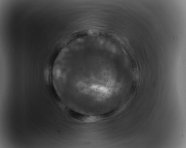 X0000087530527200705251702