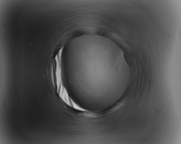 X0000087530528200705251702