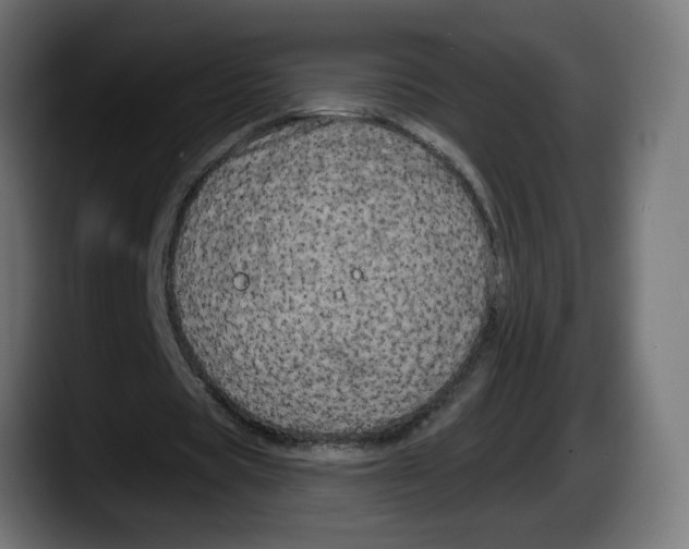 X0000087530529200705251701