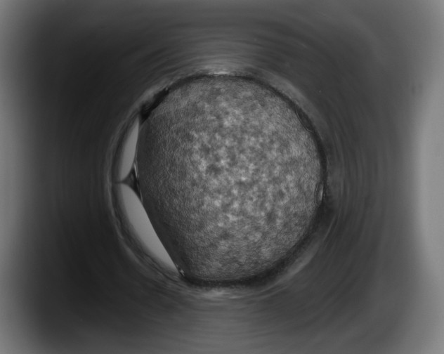 X0000087530530200705251701
