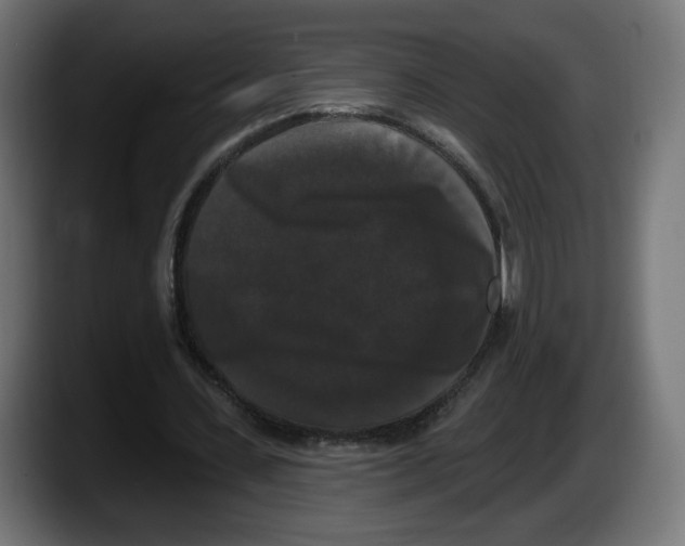 X0000087530531200705251701
