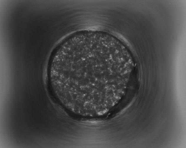 X0000087530532200705251701