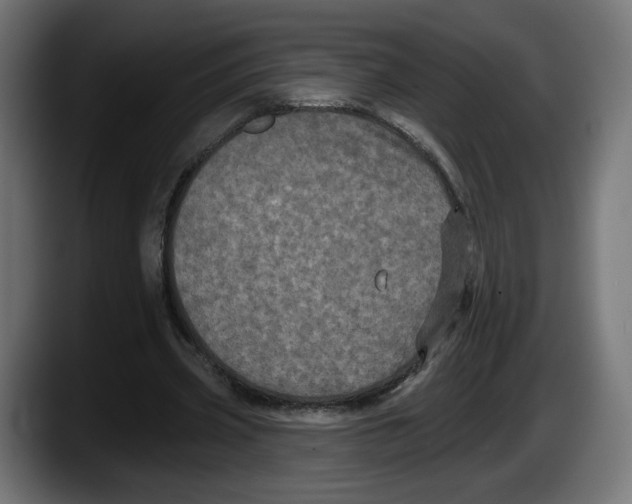 X0000087530533200705251701