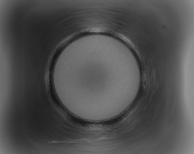 X0000087530535200705251701