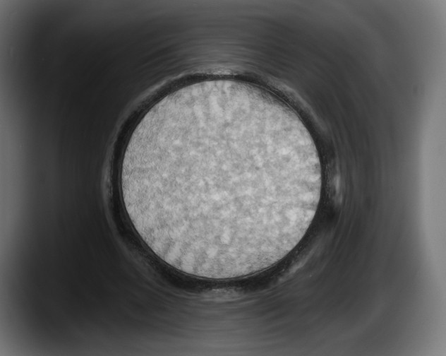X0000087530536200705251701