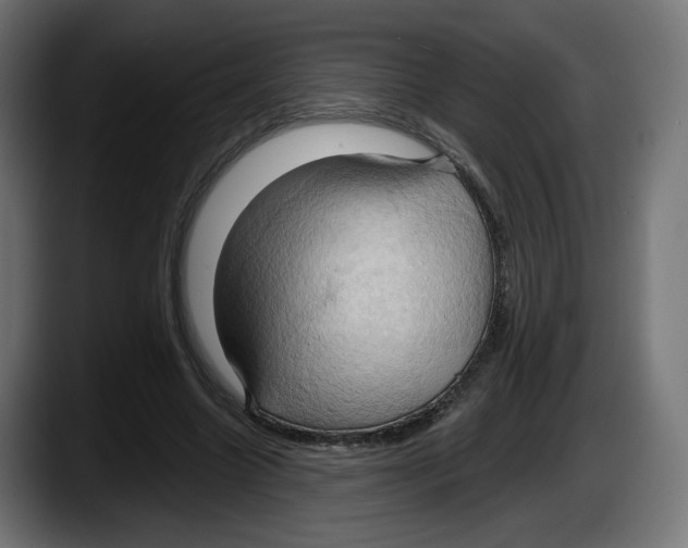 X0000087530538200705251701