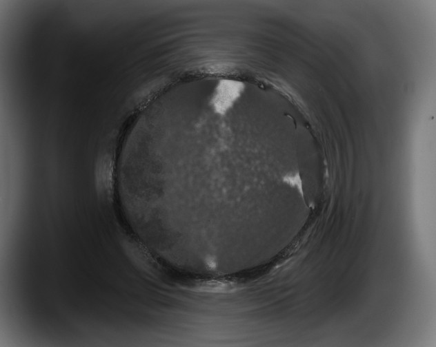 X0000087530542200705251702