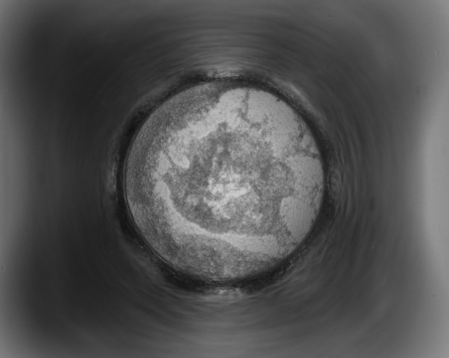 X0000087530543200705251702