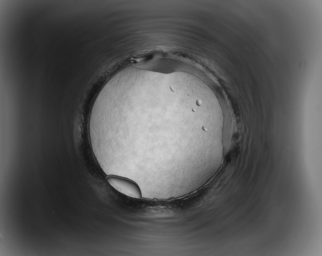 X0000087530544200705251702