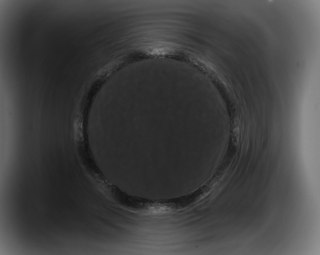 X0000087530547200705251702