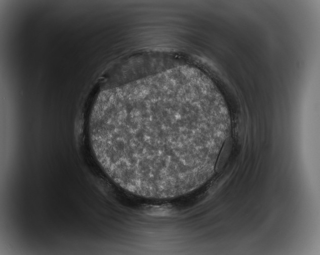 X0000087530548200705251702