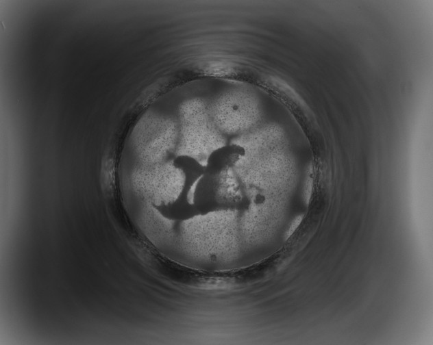 X0000087530549200705251702