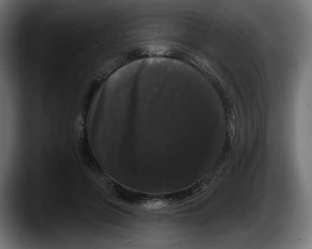 X0000087530551200705251702