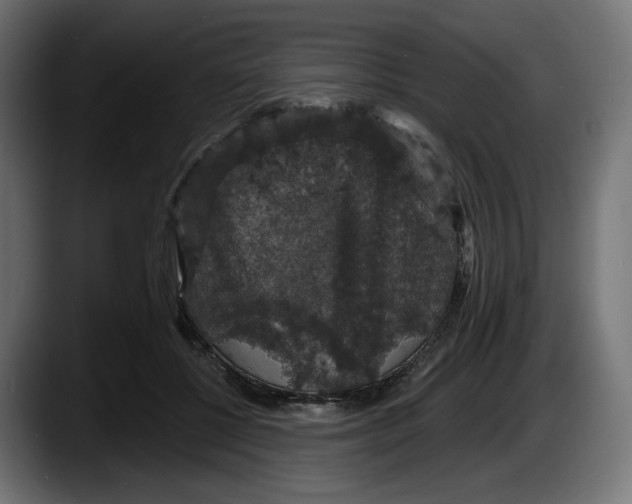 X0000087530552200705251702