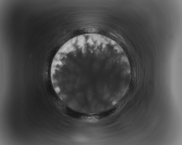 X0000087530553200705251702