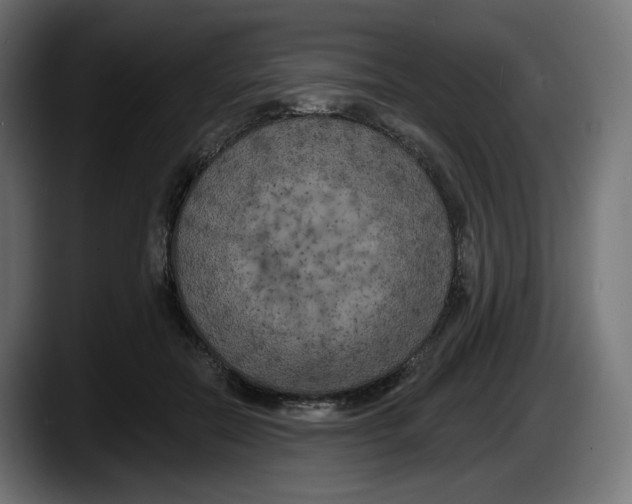 X0000087530554200705251702