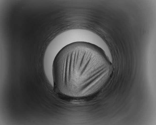 X0000087530556200705251702
