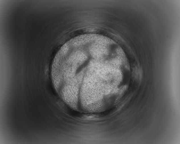 X0000087530557200705251702