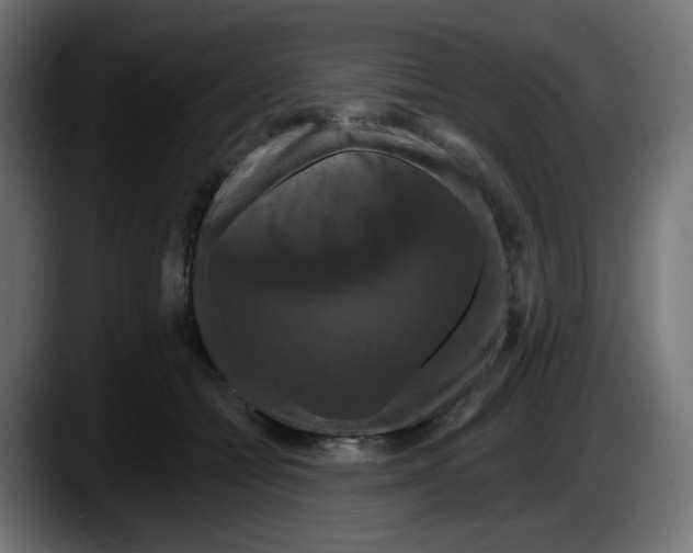 X0000087530558200705251702