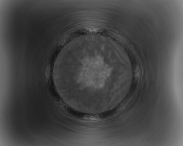 X0000087530559200705251702