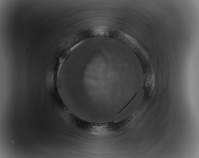 X0000087530560200705251702