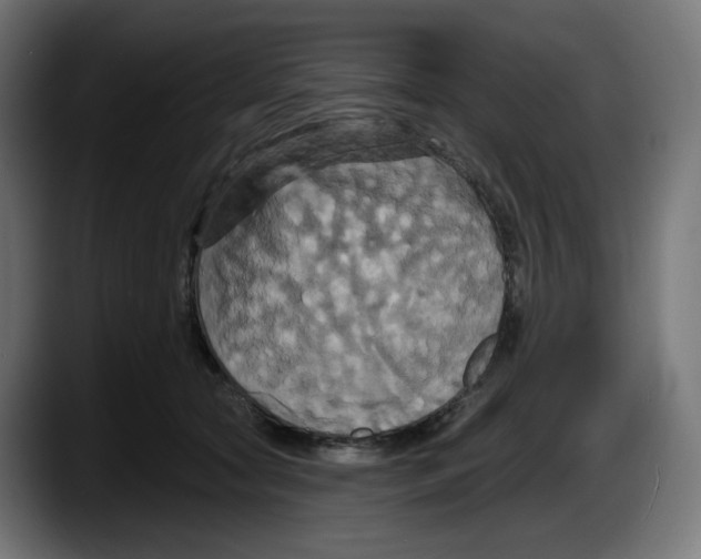 X0000087530561200705251702