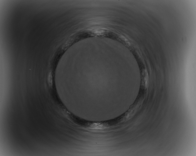 X0000087530562200705251702