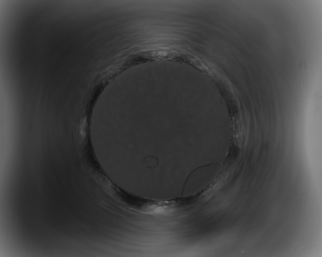 X0000087530563200705251702