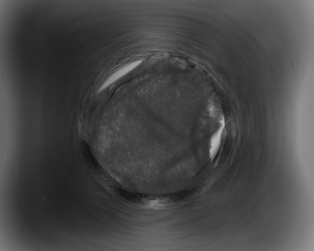X0000087530564200705251702