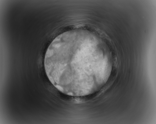 X0000087530565200705251702