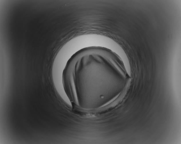 X0000087530566200705251702