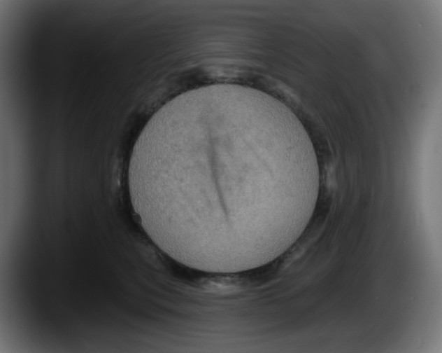X0000087530567200705251702