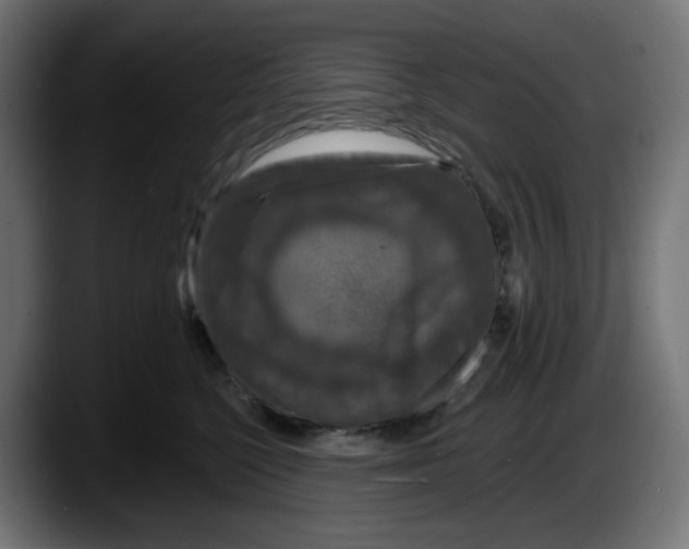 X0000087530568200705251702