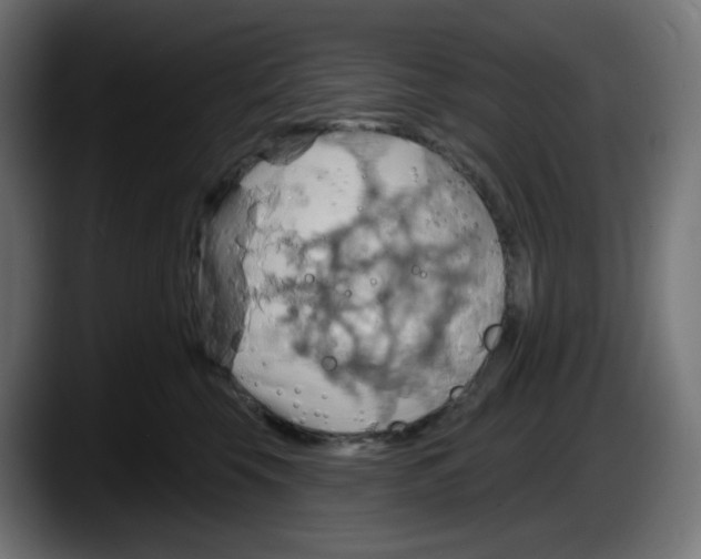 X0000087530569200705251702