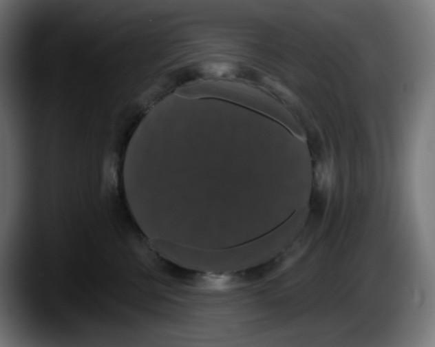 X0000087530570200705251702