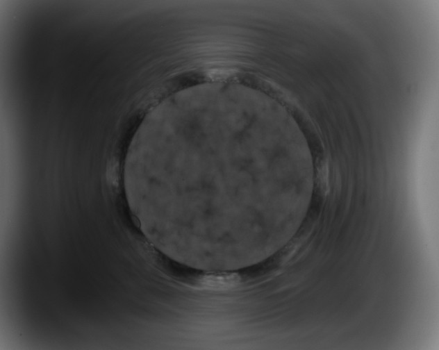 X0000087530571200705251702