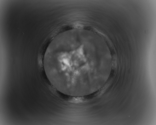X0000087530573200705251702