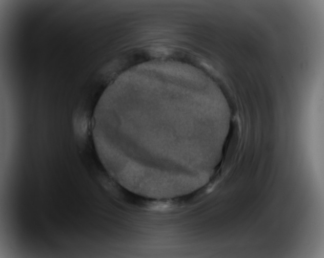X0000087530574200705251702