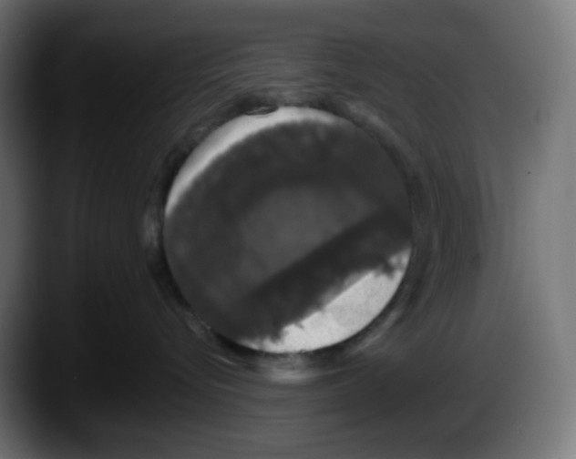 X0000087530576200705251702